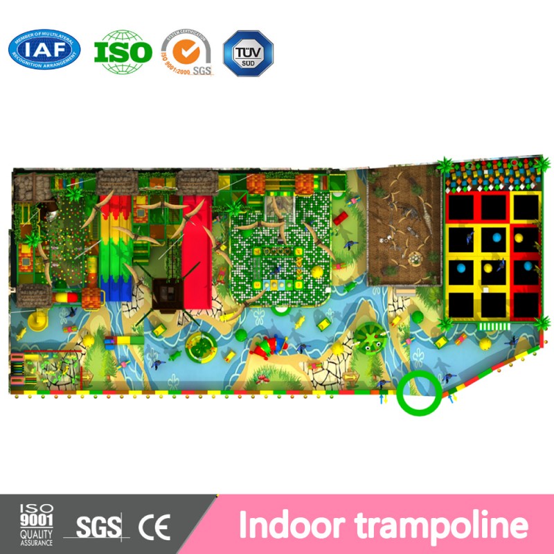 Custom Indoor Playground